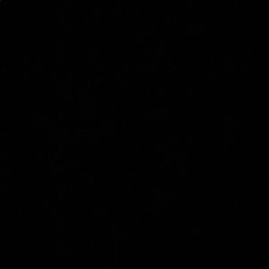 Meet your Posher, Connor